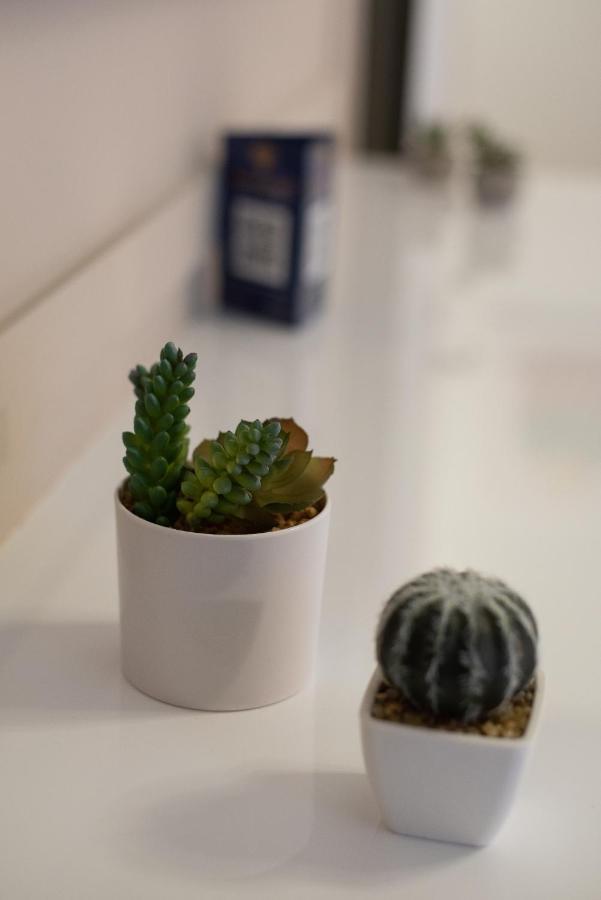 Medluxe Cozy Apartment! アテネ エクステリア 写真